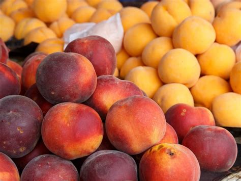 Peach Varieties Guide